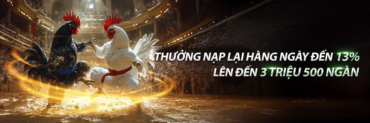 Hình ảnh chính của Blog hihi8823 với các bài viết mới nhất