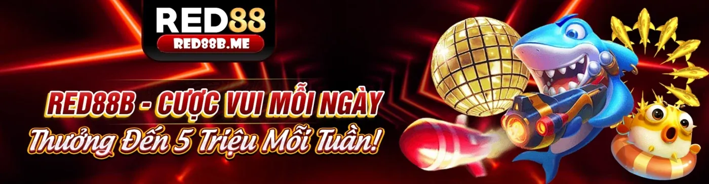 Hình ảnh đại diện Chính sách quyền riêng tư của hihi8823 trang chủ chính thức